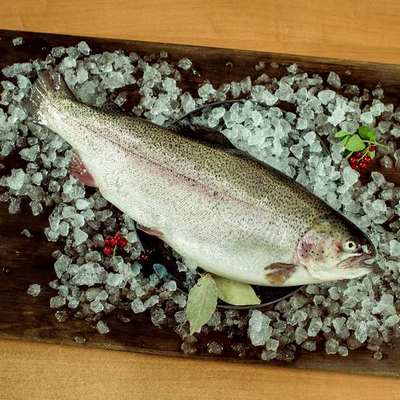 Форель радужная охлаждённая н/р (1-2)