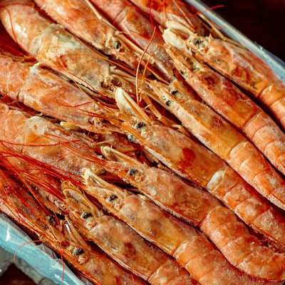 Лангустины L2 (21-30)